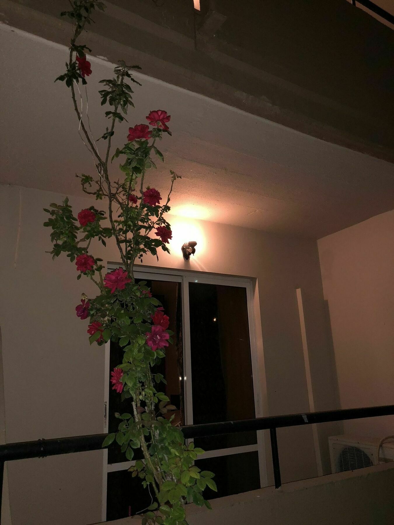 Jimmy'S Garden Hotel Faliraki Exterior photo